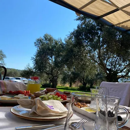 Byelka * Ayvalik