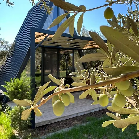 Byelka Bed & Breakfast *