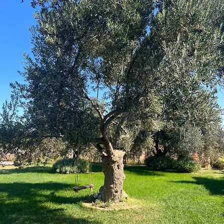 Bed & Breakfast Byelka
