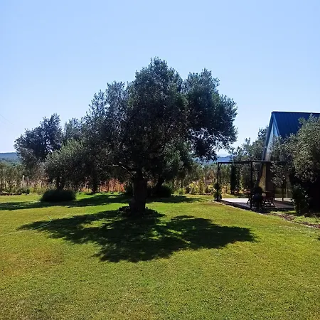 Bed & Breakfast Byelka