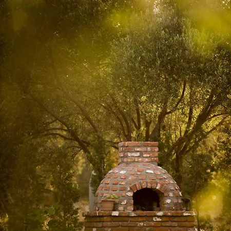 Byelka לינה וארוחת בוקר *